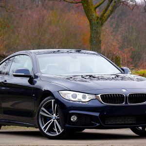 Stylish blue luxury coupe parked outdoors in autumn landscape, showcasing elegance and design.